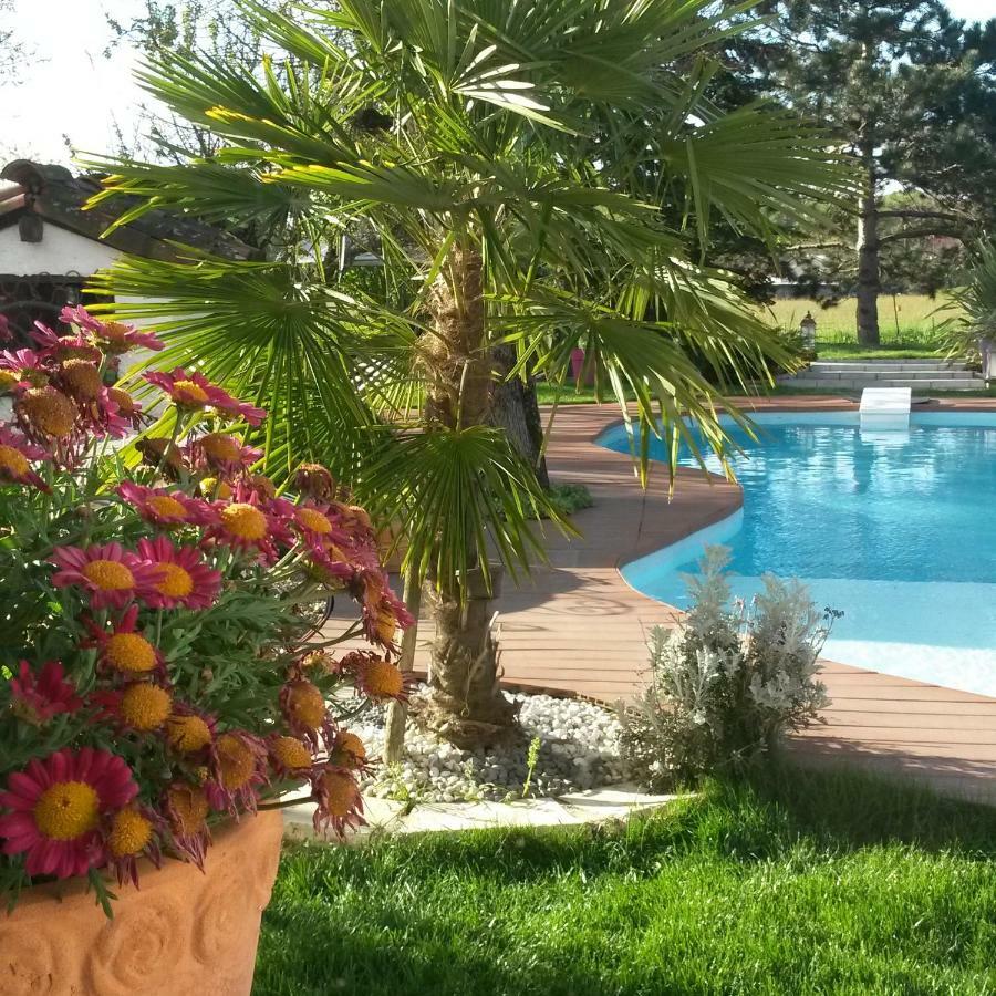Le Clos De Saint Amour Montauban Exterior photo
